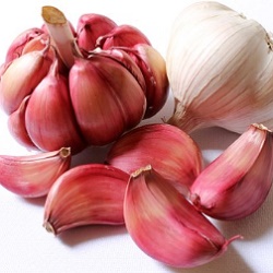 How To Make Beard Grow Thicker - garlic