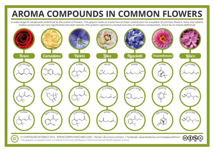 Do Beard Oils Work - essential oil aroma compounds